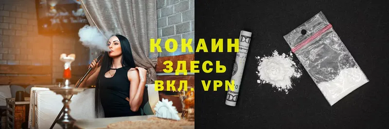 Cocaine FishScale  сайты даркнета формула  Новоузенск  наркошоп 