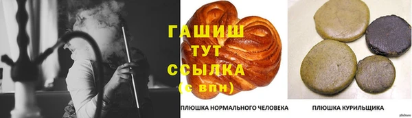соль ск Новозыбков
