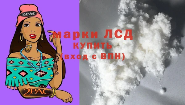ПСИЛОЦИБИНОВЫЕ ГРИБЫ Новокубанск