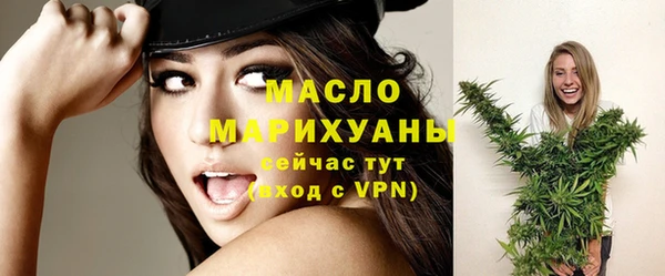 соль ск Новозыбков