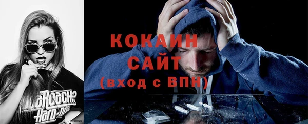 соль ск Новозыбков