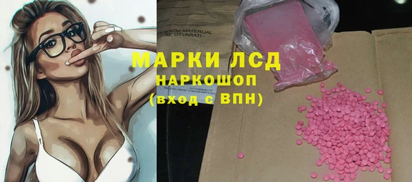 соль ск Новозыбков